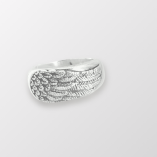 Angel Wing Signet nugget ring sterling silver